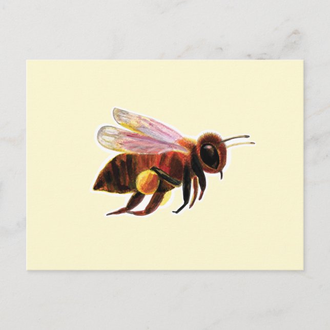 Postal Festiva Abeja de miel con su Ilustracion de cestas de pole (Anverso)