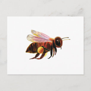 Postal Festiva Abeja de miel con su Ilustracion de cestas de pole