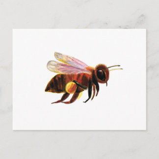 Postal Festiva Abeja de miel con su Ilustracion de cestas de pole