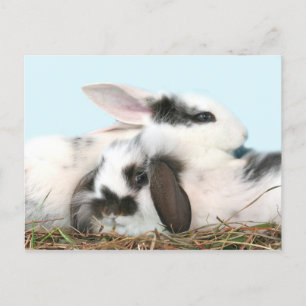Postal Festiva Abundantes de Pascua