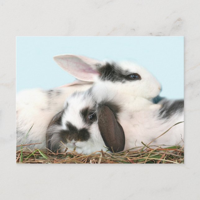 Postal Festiva Abundantes de Pascua (Anverso)