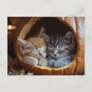 Postal Festiva Acogedores gatitos acurrucarse en una calabaza