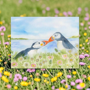 Postal Festiva Acuarela Frailecillos Lindos en un Campo de Flores