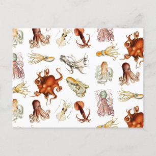 Postal Festiva Acuarela Octopus Cephalopod Ocean Animals