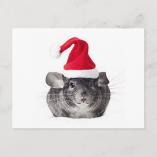 Postal Festiva Adorable Chinchilla Santa Model