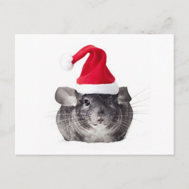 Postal Festiva Adorable Chinchilla Santa Model (Anverso)