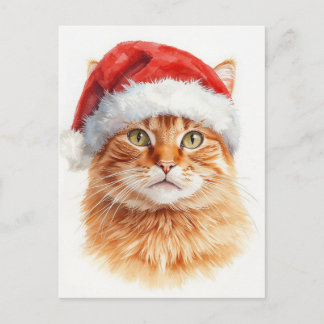 Postal Festiva Adorable Orange Tabby Cat in Santa Hat
