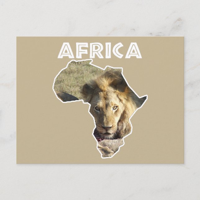 Postal Festiva Africa Wildlife Continent Lion Stare (Anverso)