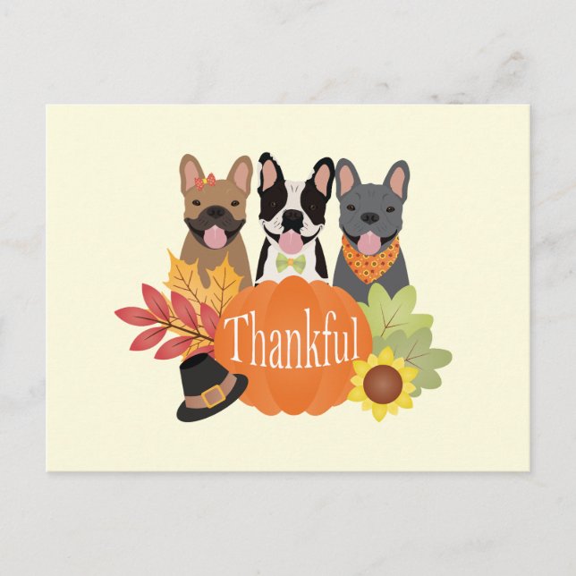 Postal Festiva Agradecimientos a los Bulldoges franceses (Anverso)