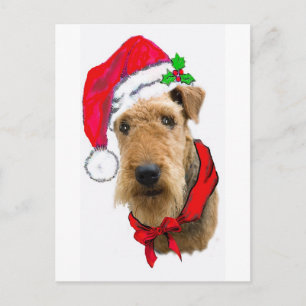 Postal Festiva Airedale In Santa Hat