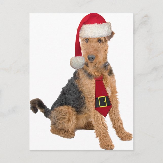 Postal Festiva Airedale Terrier In Santa Hat (Anverso)