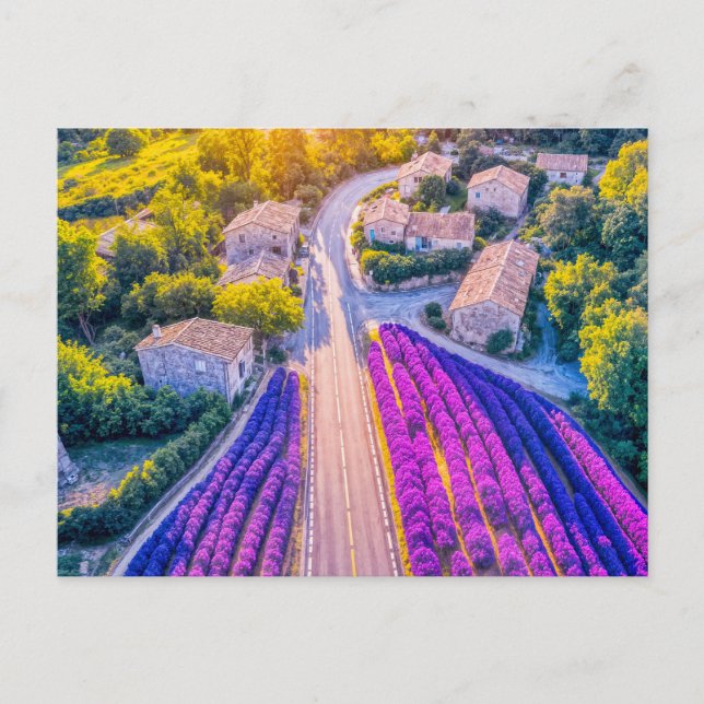 Postal Festiva Aldea con Campos de Lavanda y Caminos Eólicos (Anverso)