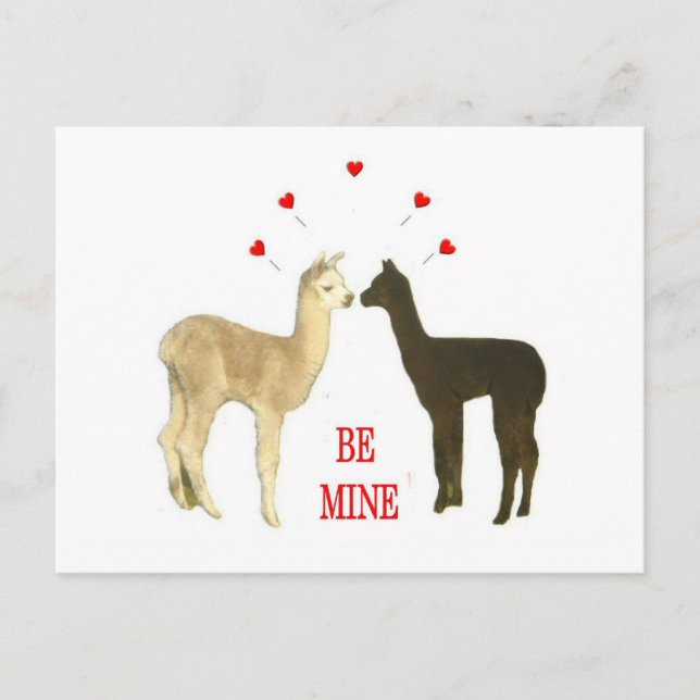 Postal Festiva Alpaca be mine Valentine (Anverso)