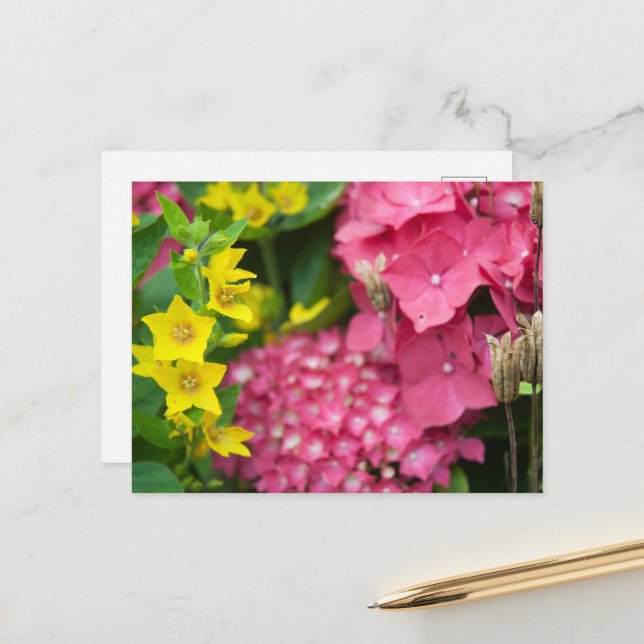Postal Festiva Amarillo y rosa (Anverso/Reverso In Situ)