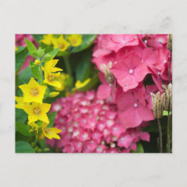 Postal Festiva Amarillo y rosa