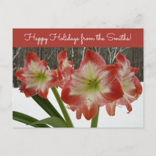 Postal Festiva Amaryllis en floral de invierno en la nieve roja f