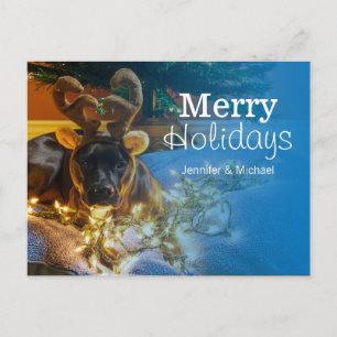 Postal Festiva American Staffordshire Terrier