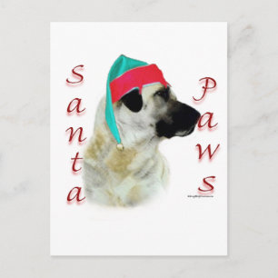 Postal Festiva Anatolian Shepherd Dog Santa Paws