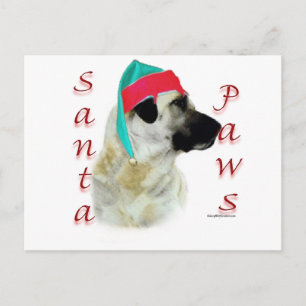 Postal Festiva Anatolian Shepherd Dog Santa Paws