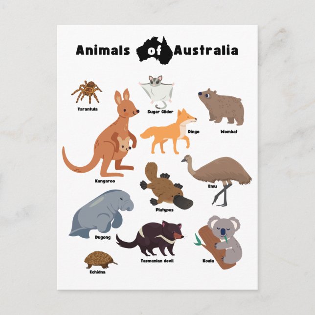 Postal Festiva Animales de Australia Aussie Wildlife (Anverso)