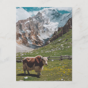 Postal Festiva Animales modernos de yak trendy