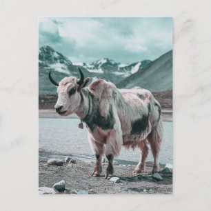 Postal Festiva Animales modernos de yak trendy