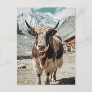 Postal Festiva Animales modernos de yak trendy