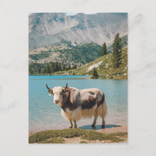 Postal Festiva Animales modernos de yak trendy
