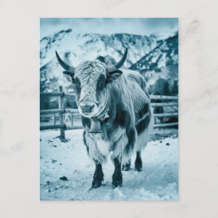 Postal Festiva Animales modernos de yak trendy