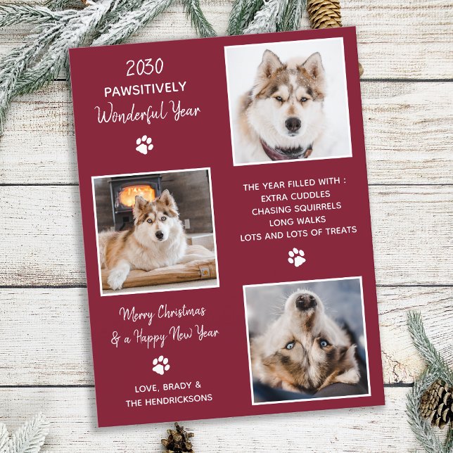 Postal Festiva Año Mascota lindo en el Collage de fotos de perro  (Subido por el creador)