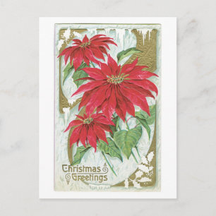 Postal Festiva Antiguos Navidades de moda Poinsettia