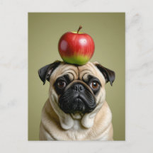 Apple Pug
