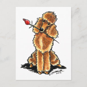 Postal Festiva Apricot Poodle SValentines