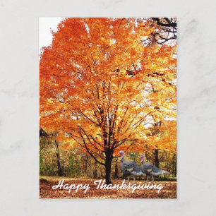 Postal Festiva Árbol de otoño de Acción de Gracias con pavo salva