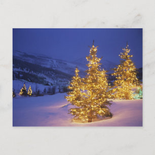 Postal Festiva Árboles de navidad, Park City, montañas de Wastc
