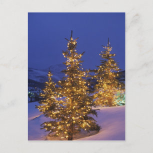 Postal Festiva Árboles de Navidad, Park City, Montañas Wastch,