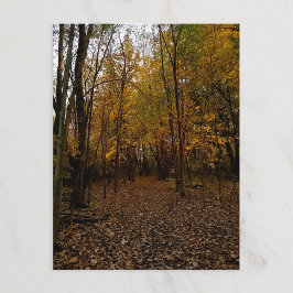Postal Festiva Árboles de otoño al atardecer Taylor Michigan Tarj