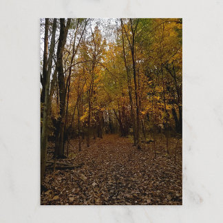 Postal Festiva Árboles de otoño al atardecer Taylor Michigan Tarj