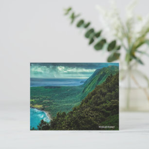Postal Festiva Árboles de playa Molokaii Hawaii