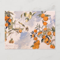 Árboles frutales - Edward Lear