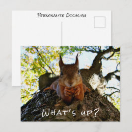 Postal Festiva Ardilla Divertida Qué Pasa Animal Adorable Hola i