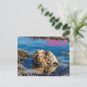 Postal Festiva Arrecife de coral con marea baja regalo de le morn
