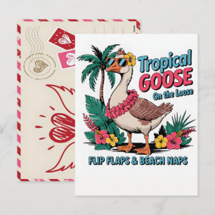 Postal Festiva Arte de ave casuario vibrante ilustración de selva