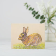 Arte de dibujo de Bunny de color