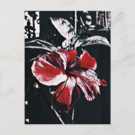 Postal Festiva Arte de Híbiscus Tropical Garden