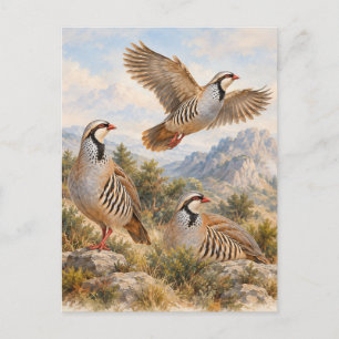 Postal Festiva Arte de Perdiz Chukar