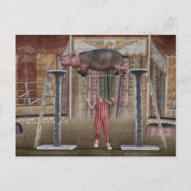 Postal Festiva Asombroso hipopótamo (Anverso)