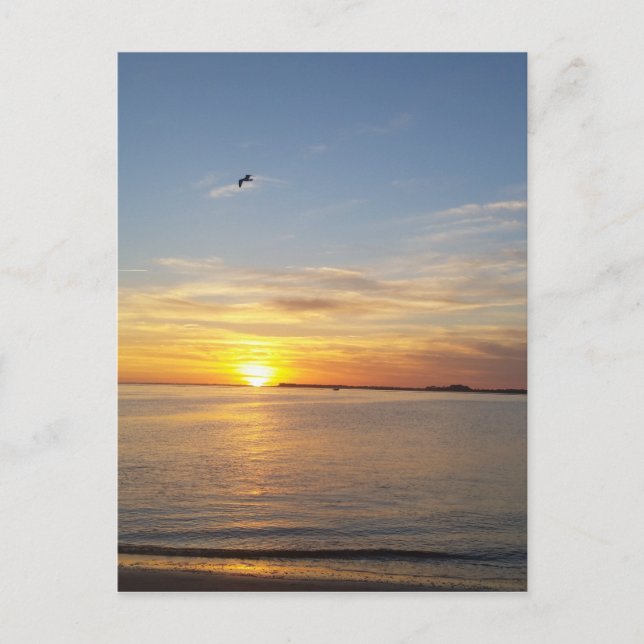 Postal Festiva Atardecer en Acción de Gracias. (Anverso)