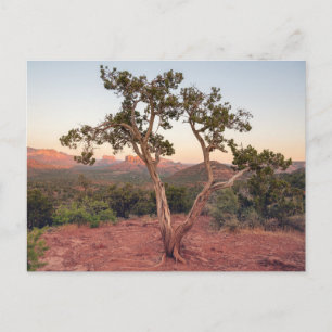 Postal Festiva Atardecer en Lovers Knoll en Sedona