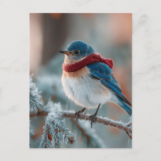 Postal Festiva Ave azul adorable en una bufanda (Anverso)